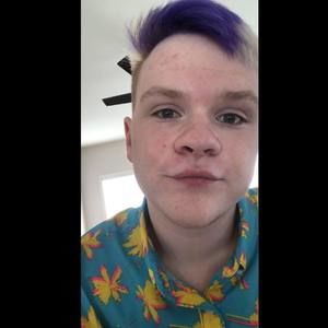 Meet your Posher, Donald